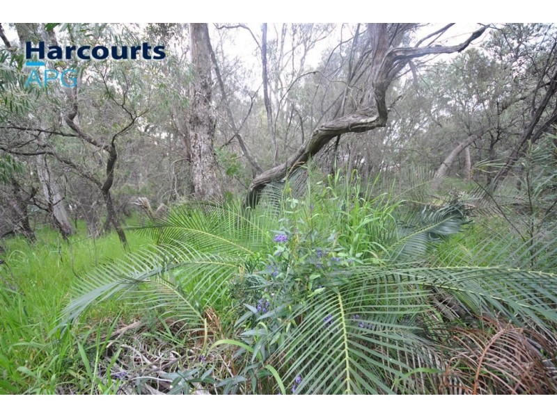 16 Halyard Parade, Leschenault WA 6233