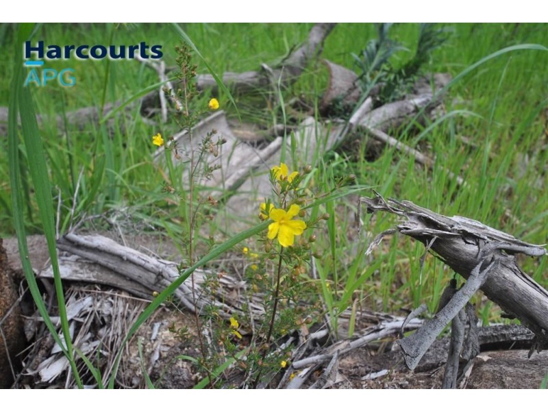 16 Halyard Parade, Leschenault WA 6233