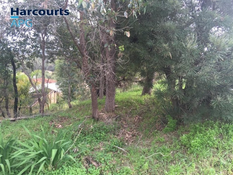 4 Balliol Court, College Grove WA 6230