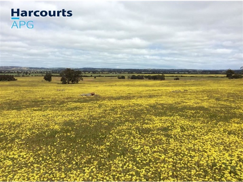 184 Mcdonald Road, Darkan WA 6392