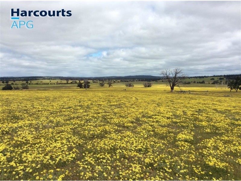 184 Mcdonald Road, Darkan WA 6392