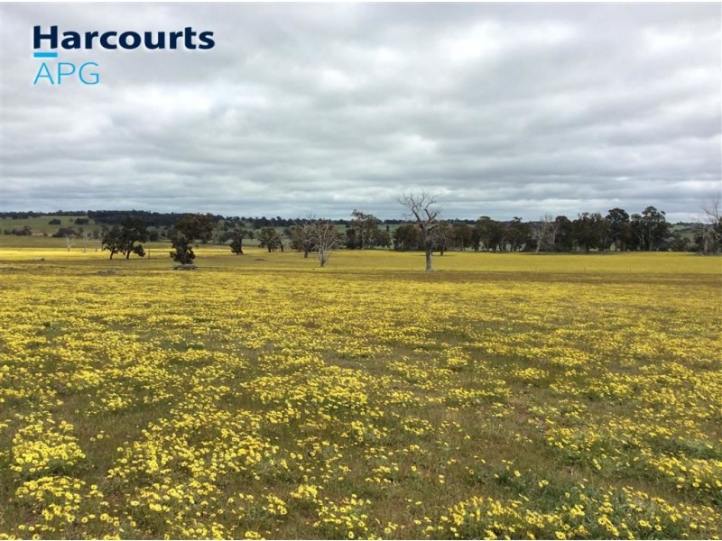 184 Mcdonald Road, Darkan WA 6392