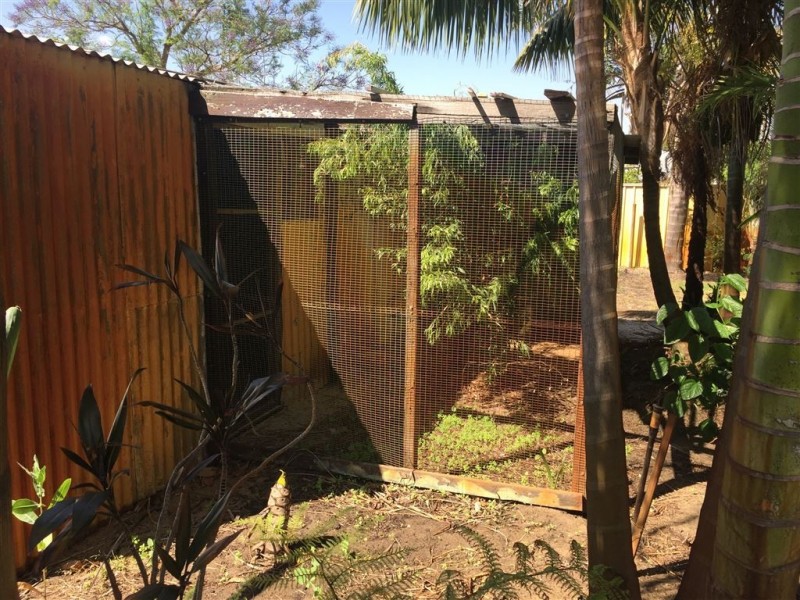 10 Gibbs Street, Carey Park WA 6230