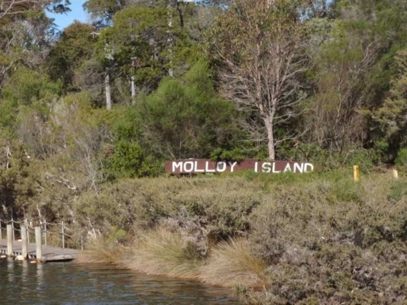 48 Sabina Drive, Molloy Island WA 6290