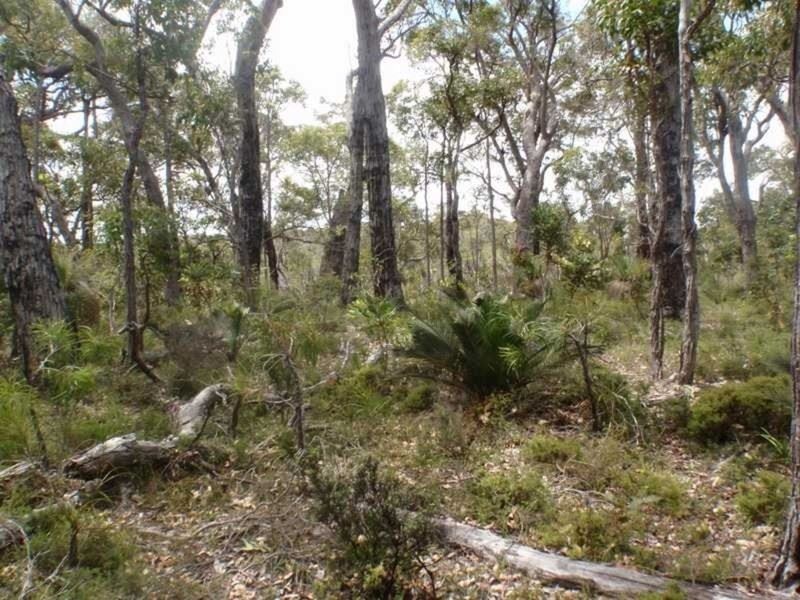 80 Sabina Drive, Molloy Island WA 6290