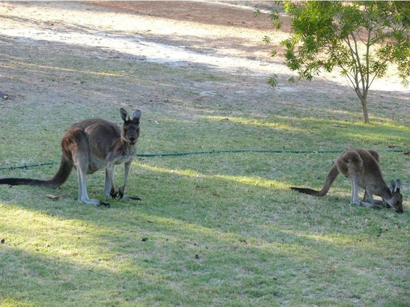 40 Miller Road, Donnybrook WA 6239