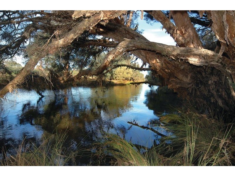 8 Gaudin Way, Australind WA 6233