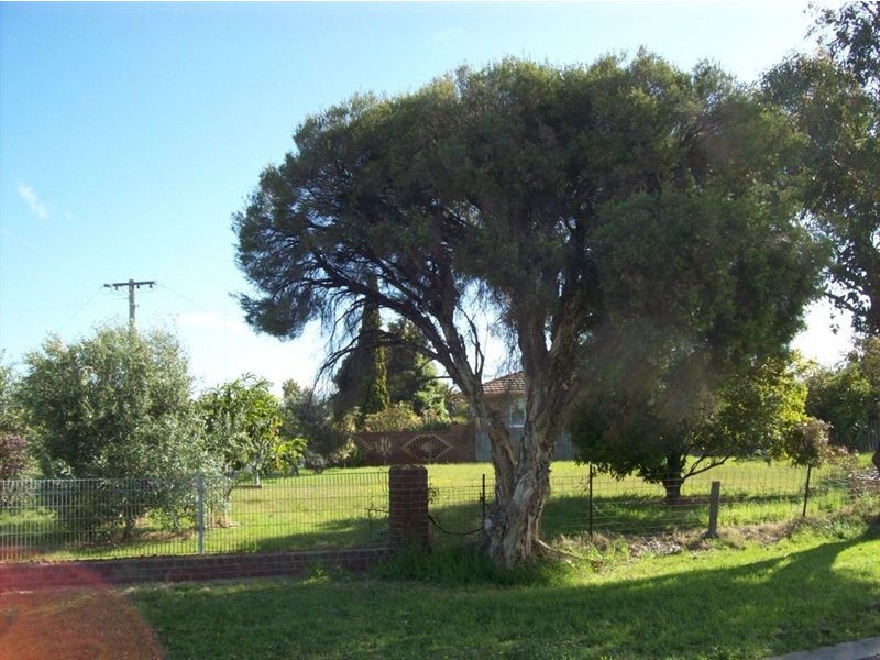 15 Burt Street, East Bunbury WA 6230