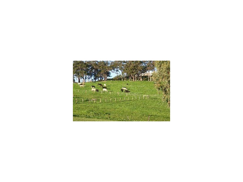 3 Partridge, Brunswick WA 6224