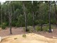Lot 352 Pile Road, Dardanup WA 6236