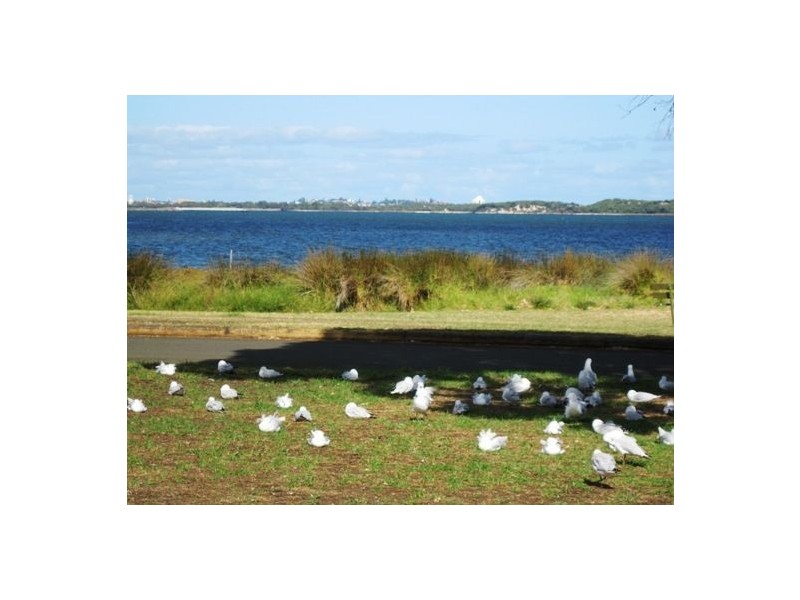 7 Cambrose Avenue, Australind WA 6233