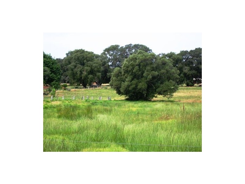 105 Waterloo Road, Roelands WA 6226