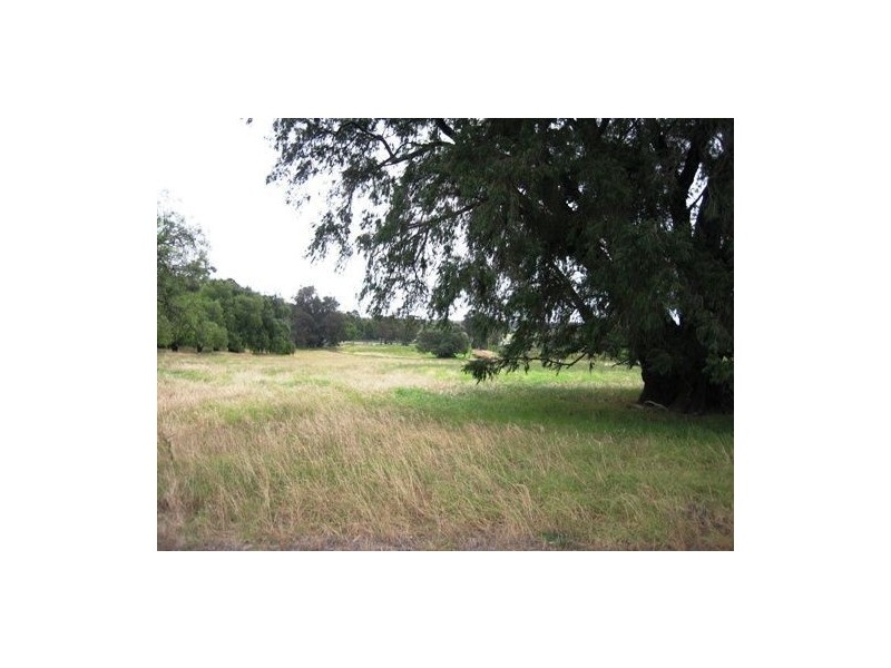 105 Waterloo Road, Roelands WA 6226