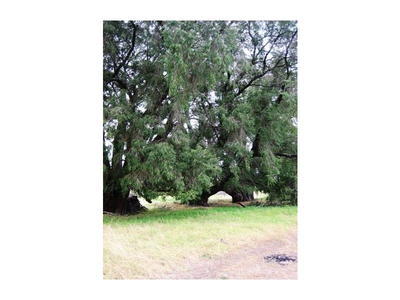 105 Waterloo Road, Roelands WA 6226