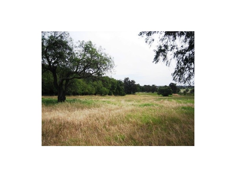 105 Waterloo Road, Roelands WA 6226