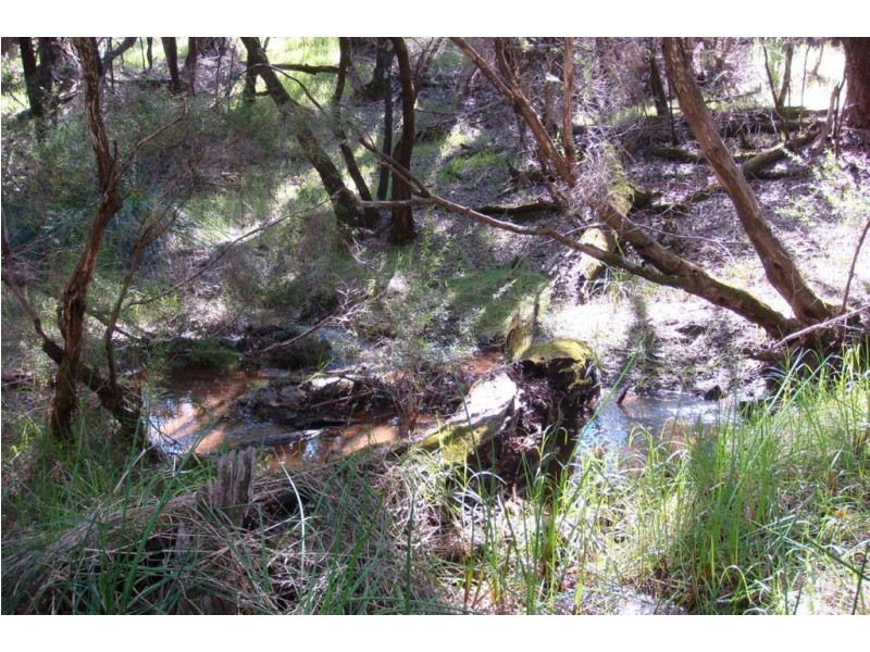 Lot 37 Eastern Rise, Ferguson WA 6236