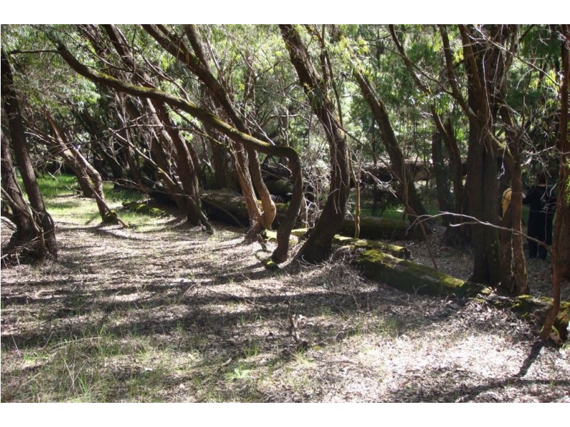 Lot 37 Eastern Rise, Ferguson WA 6236