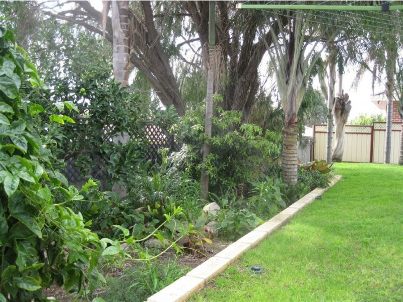 2 Barnes Court, Australind WA 6233