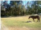 3 Yabberup Rd (Locality of Yabberup, Donnybrook WA 6239