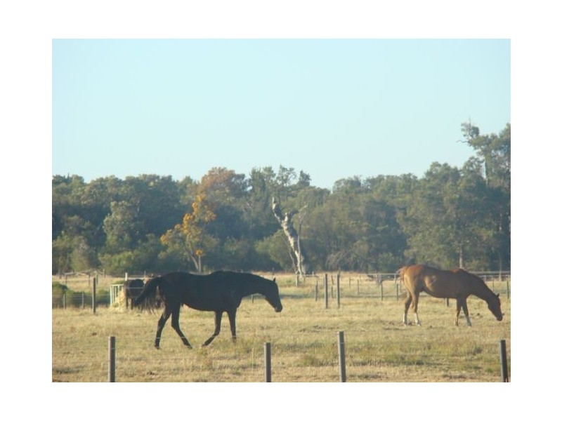 75 Brookdale Road, Boyanup WA 6237