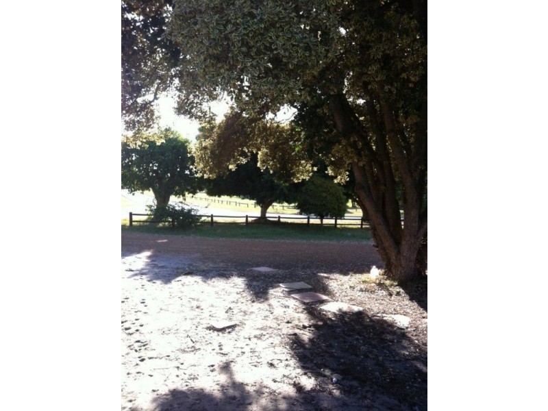 3 Absolon Street, Carey Park WA 6230