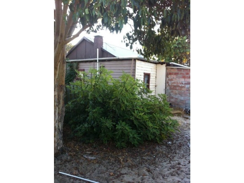 3 Absolon Street, Carey Park WA 6230