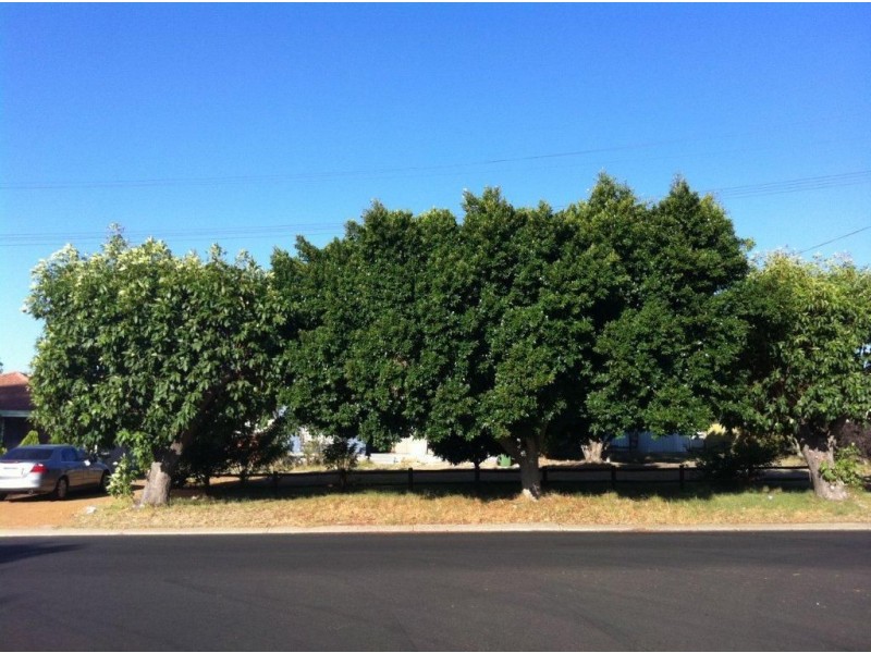 3 Absolon Street, Carey Park WA 6230