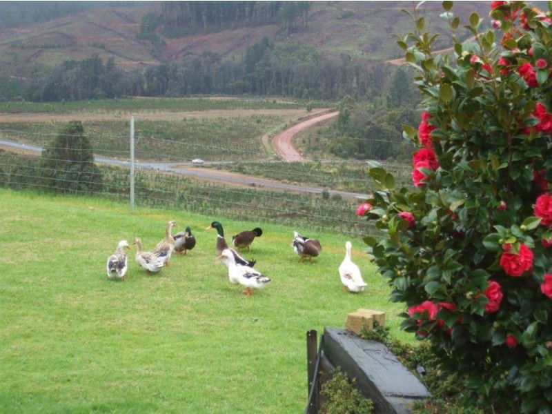 632 Wellington Mill Road, Wellington Mill WA 6236