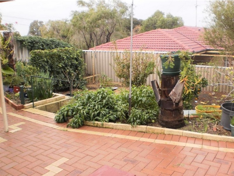 13 Rendell Elbow, Withers WA 6230