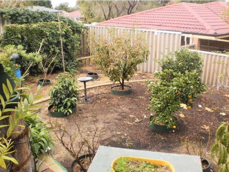 13 Rendell Elbow, Withers WA 6230