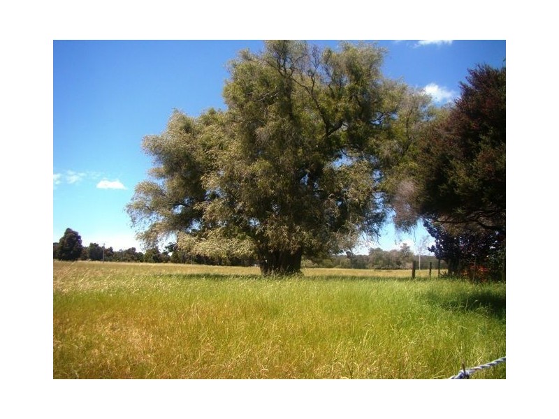 501 South West Highway, Boyanup WA 6237