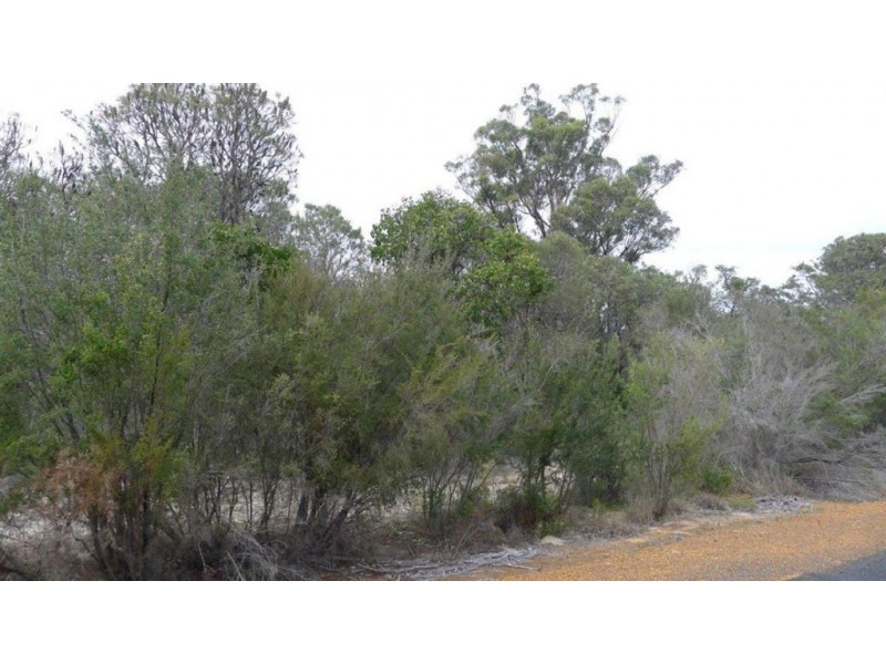 95 Eucalypt Drive, Gelorup WA 6230