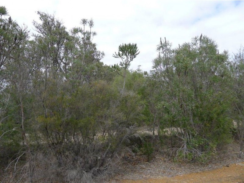 95 Eucalypt Drive, Gelorup WA 6230