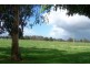 Lot 223 cnr Cain and Norman Road, Elgin WA 6237