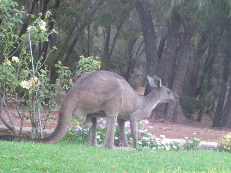 96 Minninup Road, Stratham WA 6237