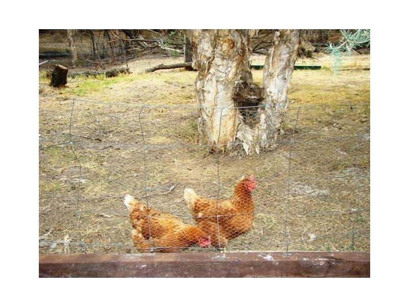 24 Payne Road, Capel WA 6271