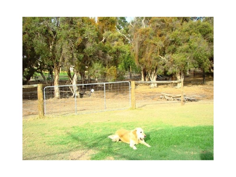 24 Payne Road, Capel WA 6271