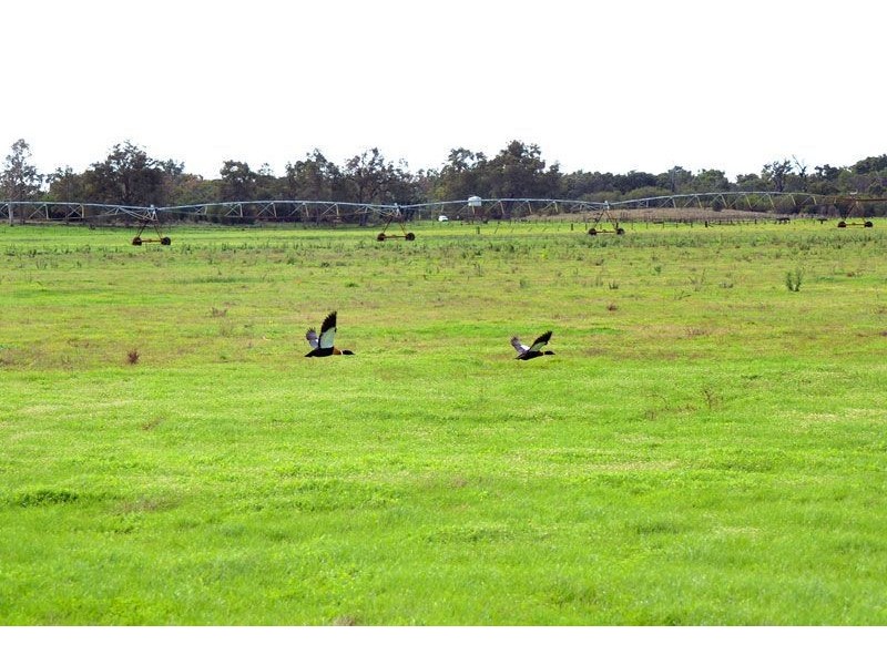 139/141 150 Skippings Road, North Boyanup WA 6237