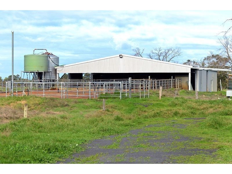 141 150 Skippings Road, Boyanup WA 6237