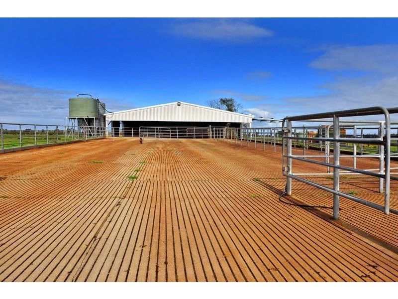 141 150 Skippings Road, Boyanup WA 6237
