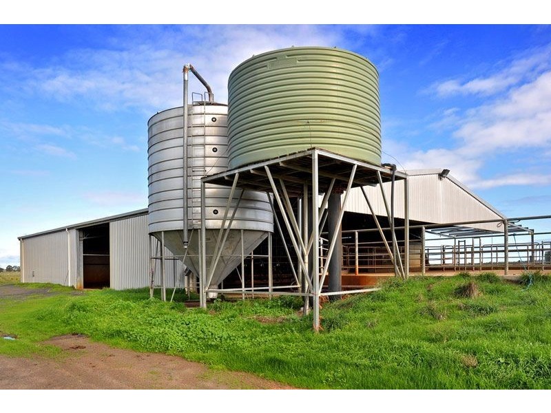 141 150 Skippings Road, Boyanup WA 6237