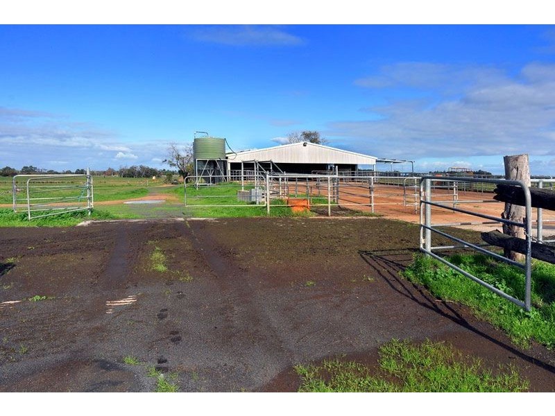 141 150 Skippings Road, Boyanup WA 6237