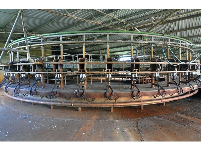 141 150 Skippings Road, Boyanup WA 6237