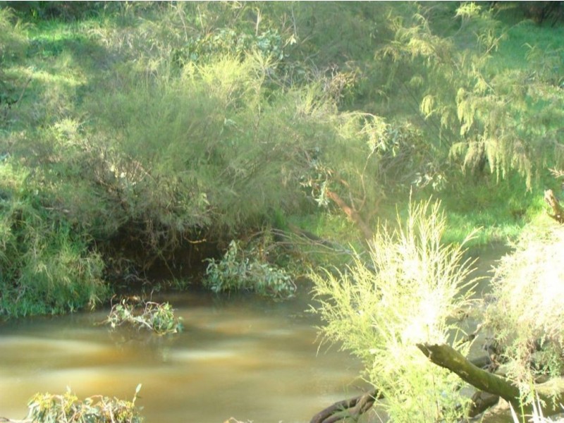 16349 South West Highway, North Boyanup WA 6237