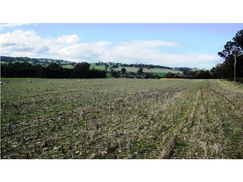 11 Darkan Road, Darkan WA 6392