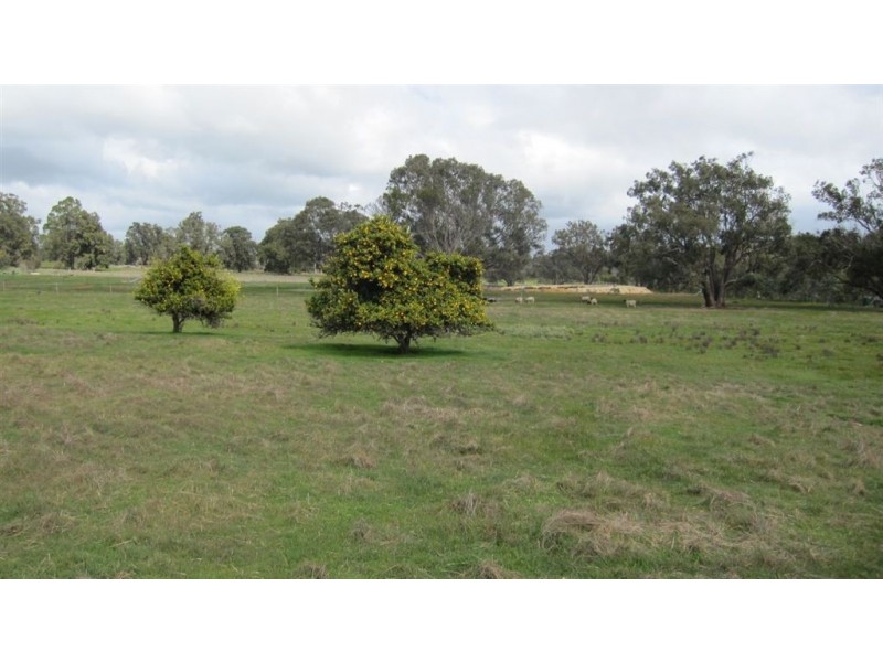 138 Coalfields Road, Collie WA 6225