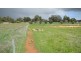 138 Coalfields Road, Collie WA 6225