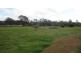 138 Coalfields Road, Collie WA 6225