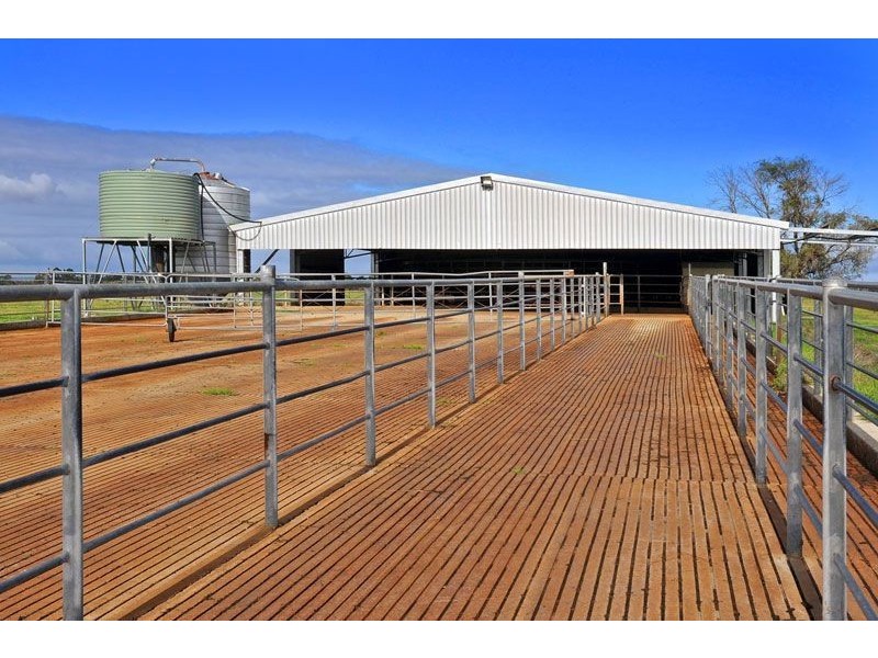 139 Skippings Road, North Boyanup WA 6237