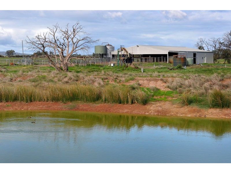 139 Skippings Road, North Boyanup WA 6237